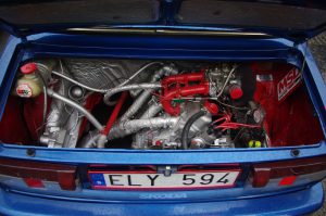 IMGP8528