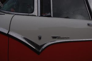 IMGP8539