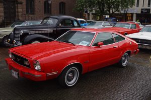 IMGP8542