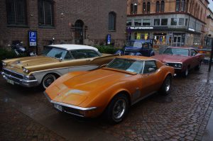 IMGP8555