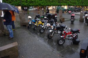 IMGP8556