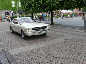 P1000315 P1000315